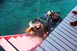 Samal Sports -Diving