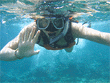 snorkel